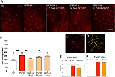 The effects of a highly bioavailable curcumin PhytosomeTM preparation on the retinal architecture and glial reactivity in the GFAP-IL6 mice